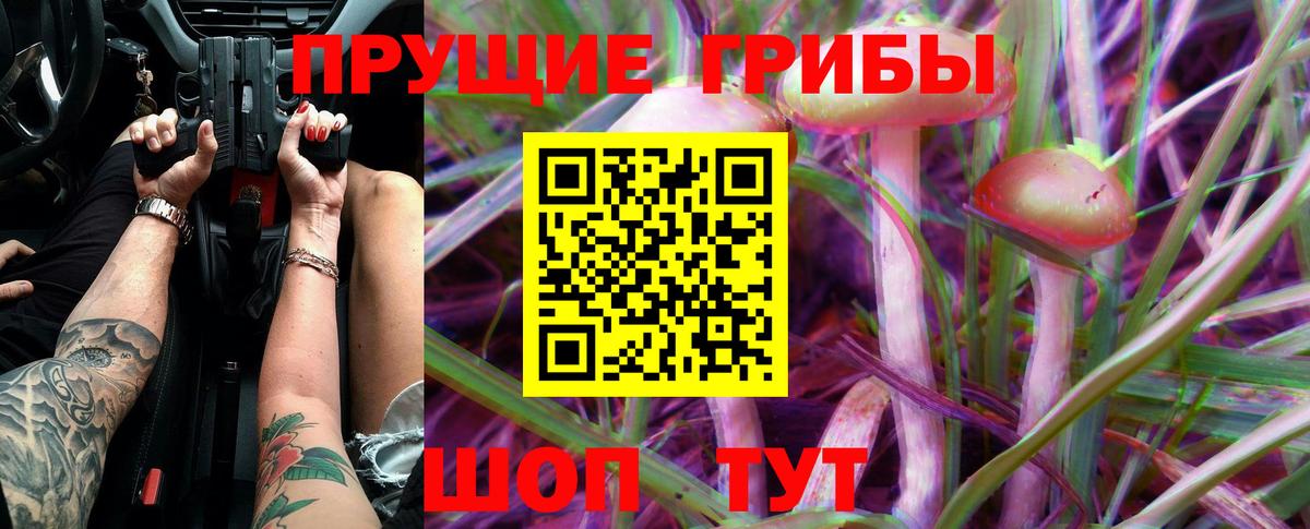Псилоцибиновые грибы Cubensis Ярцево